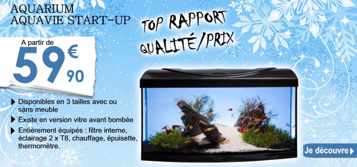 Nouveau : découvrez les aquariums aquavie start-up