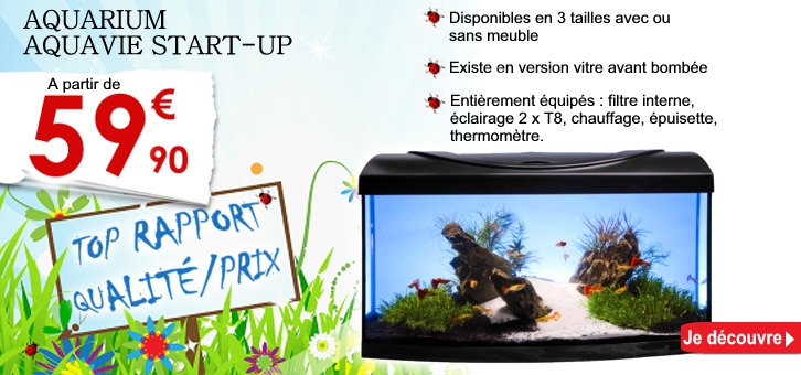 Nouveau : découvrez les aquariums aquavie start-up