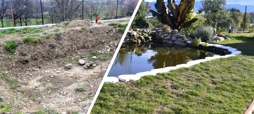 DIY : Créer un Petit Bassin de Jardin avec Poissons en 5 étapes - Blog
